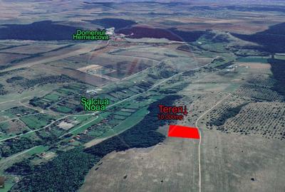 Teren agricol extravilan de 10000 mp, în Sălciua Nouă