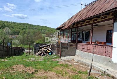 Casă + teren generos în Comuna Frâncești (sat Dezrobiți) - 1