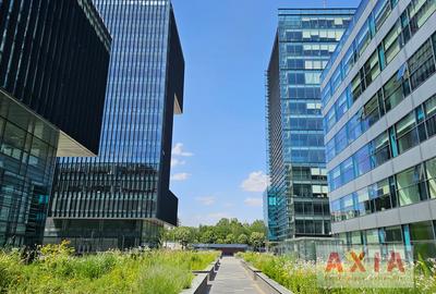 Birou, 7150 mp în Politehnica