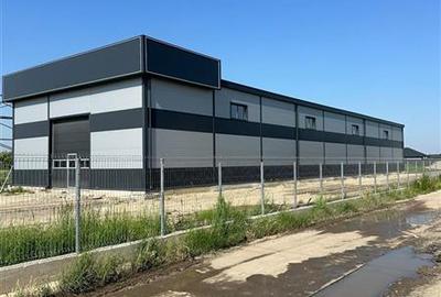 Vanzare depozit/hala/spatiu industrial Chiajna - Ciorogarla - A1-A 0, ILFOV - 1