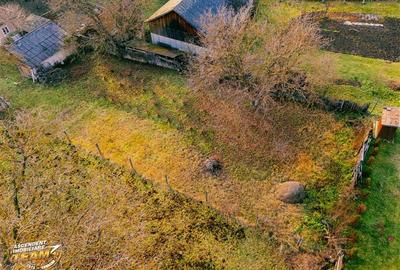 FILM! Gospodarie cu atmosfera traditionala,1.032 mp de verde si gradinarit, Sanz - 5