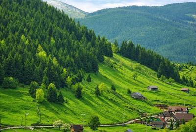 7.000 mp, pozitie spectaculoasa, fara vecini, Fundatica, Brasov - 16