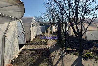 Teren intravilan vanzare - 2.750 mp – Darvari/Tamadalu Mare (judetul Calarasi) - 8