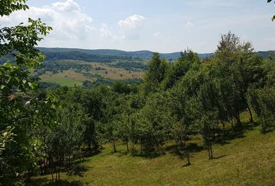 24.141 mp 1h30' de Bucuresti -  ideal casa sau complex retreat - 3
