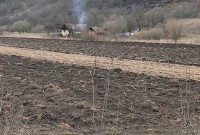 Vânzare teren în GIULA - 3