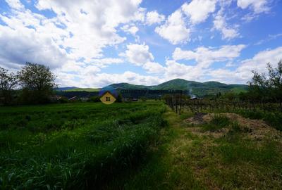 Teren 9000 mp intravilan Piatra Neamt , ideal investitie - 13