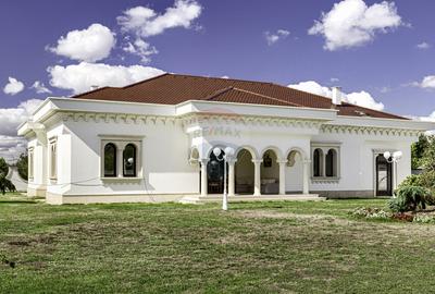 Stil si eleganta ! Vilă superba 320 mp cu teren 1728 mp in Mandruloc - 47