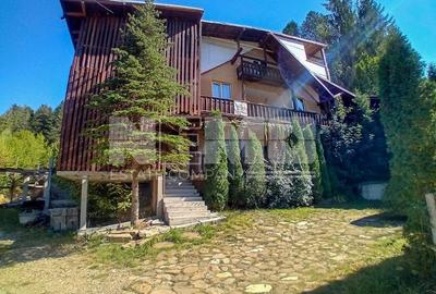 PENSIUNE SUCEVITA | TEREN | FOISOR - 1