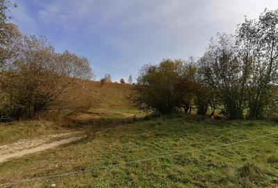 Teren in Sohodol-Bran - 5