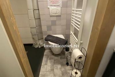 Apartament in stil unic, langa Primaria Arad, amenajat cu designer, mobilat/dota - 34
