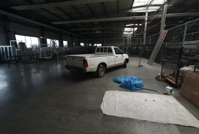 Hala Lugojului 1800 euro+TVA - 6