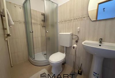 Apartament 2 camere Faget - 10