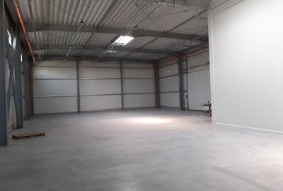 Hala noua in zona Drumul Intre Tarlale - 2