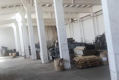 Hala renovata Orasul  Alexandria - 5