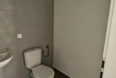 De inchiriat 2 apartamente nemobilate, Dynamic Residence - Tractoru - 22