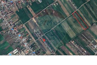 Teren intravilan de vanzare 18E mp ,Ciorogarla.Ilfov - 1