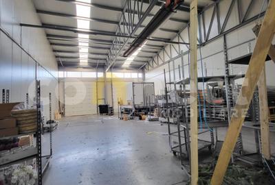 Hala 300mp+birouri 50mp - 1