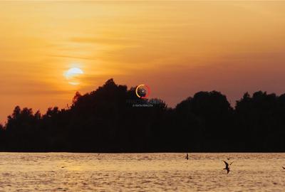 Teren 1950mp cu casa batraneasca 45 mp - 5