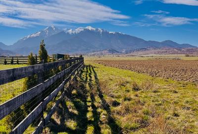 Teren intravilan Râșnov – Glejerie  5 parcele x 1000 mp  Capăt Str. Greierilor - 7