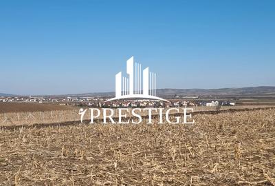 TEREN INTRAVILAN PENTRU CONSTRUCȚIE CASĂ | ȘURA MICĂ | PUZ APROBAT - 5