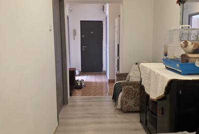 Dristor- Camil Ressu vav metrou - 5