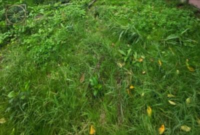 Teren - 412 mp - casa demolabila - 6 minute Metrou Brancoveanu - 1