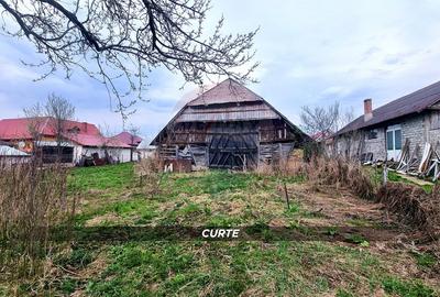 Casă din cărămidă cu teren generos de 2460 mp și anexe, în Borlești - 21