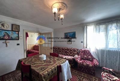 Casa tradițională de vânzare - Alexandru cel Bun - 13