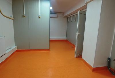 Basarabia-Chisinau, depozitare/birouri/activitati diverse, 100 m.p. - 7