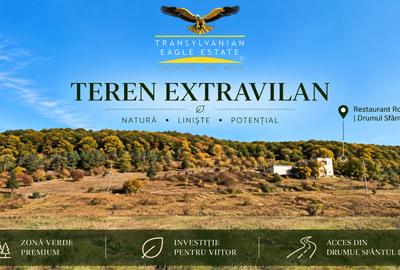 Teren agricol extravilan de 2577 mp, în Făget