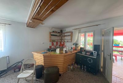 Cabana 100mp cu 30 ari teren 160000eur neg - 5