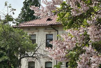 Casă cu 19 camere în Dacia