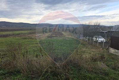 Teren intravilan si extravilan 8,282mp oras Negresti, judetul Vaslui - 1