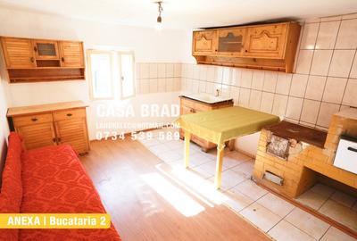 Casa mare cu ~4000mp teren plat, in zona verde, linistita, in orasul Brad, HD - 13
