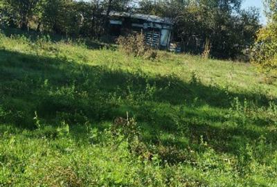 Casă batranească de vânzare - 4