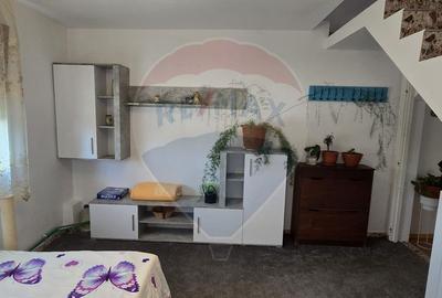 Casa cu mansarda in MIȘCA  jud Arad - 25