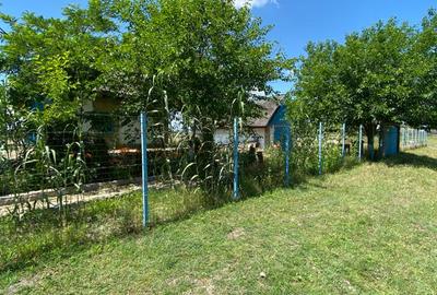 Casa de vacanta/ Pensiune, Caraorman, Jud. Tulcea - 12