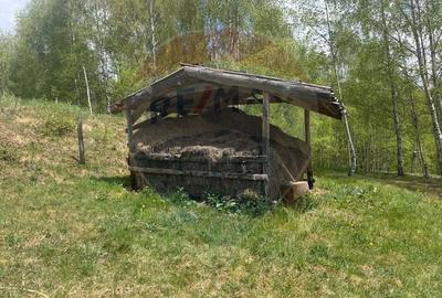 Proprietate eco-turistică de vânzare – 62.330 mp, Horea, Alba - 52