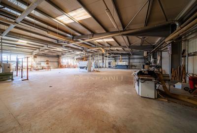 SPATIU MULTIFUNCTIONAL | DE INCHIRIAT | BEIUS - 2