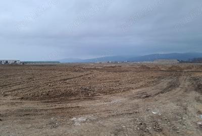Teren intravilan 1450 mp – Carpiniș , Ideal pentru casă de locuit - 8