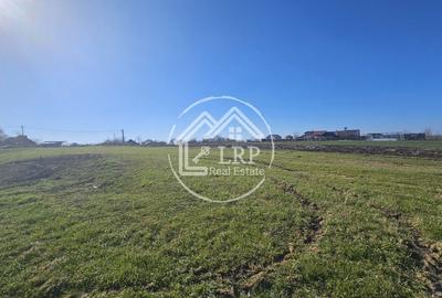 Loturi de Casa pe malul Lacului Creața, Dascălu – 460 mp + Drum servitute - 6