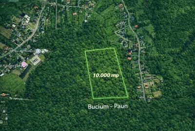 Teren intravilan 10.000 mp , Bucium ,Paun, zona linistita - 1