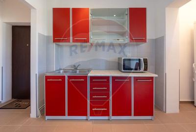 Apartament luminos - parcare, boxa - 13