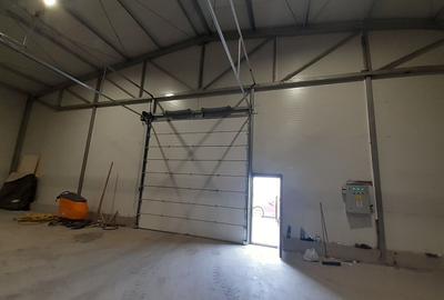 Hala noua in zona Gara Catelu, Drumul Intre Tarlale - 4