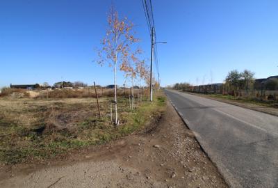 Teren intravilan Sat Costi str. Cosarelor - 4