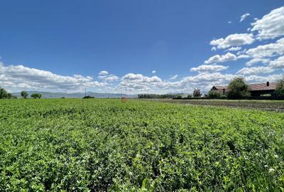 Teren intravilan Zona Metropolitana Brasov - 3