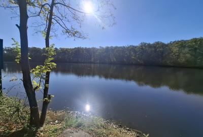 Teren | Pasarea - Branesti | Su: 700 mp | Utilitati | Ideal Casa | Investitie | - 1