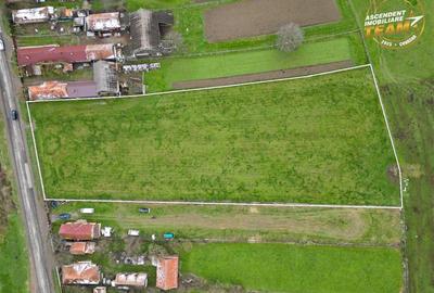 FILM!Potential rezidential/ investitional: 8.000 mp intravilan construibil, Sanz - 8