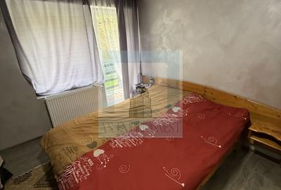 Casa/vila P+E+M, individuala ,730 mp teren-Timișul de jos/Dâmbul Morii - 9