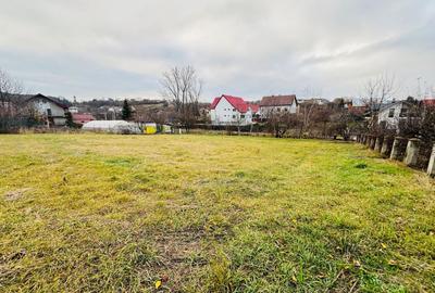 Teren intravilan 1227 mp I Scheia I Suceava - 3